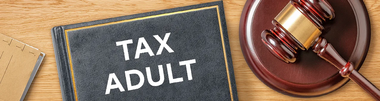 Unlocking the Business Potential of Accounting, Taxation, and Auditing in UAE’s Tax-Free Zones